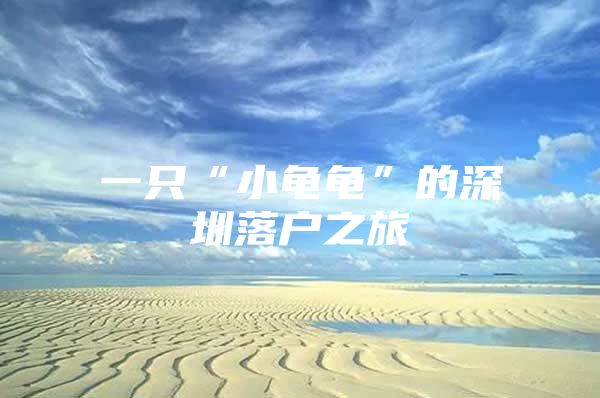 一只“小龟龟”的深圳落户之旅