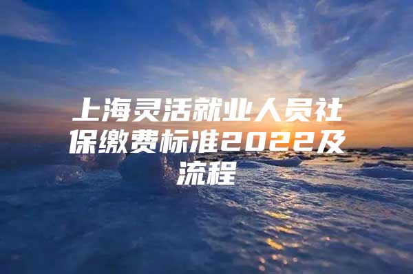 上海灵活就业人员社保缴费标准2022及流程