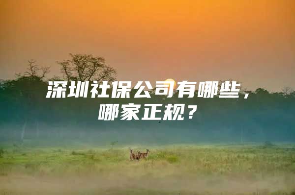 深圳社保公司有哪些，哪家正规？