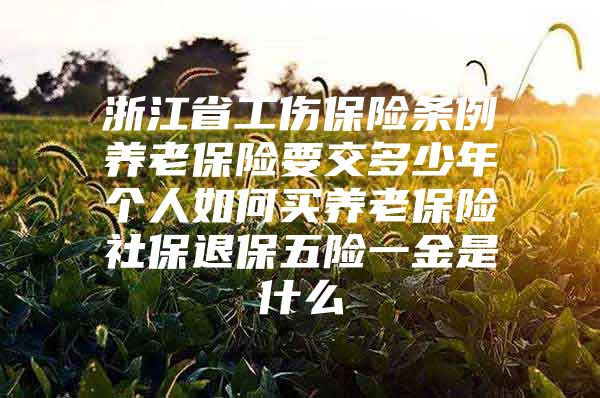 浙江省工伤保险条例养老保险要交多少年个人如何买养老保险社保退保五险一金是什么