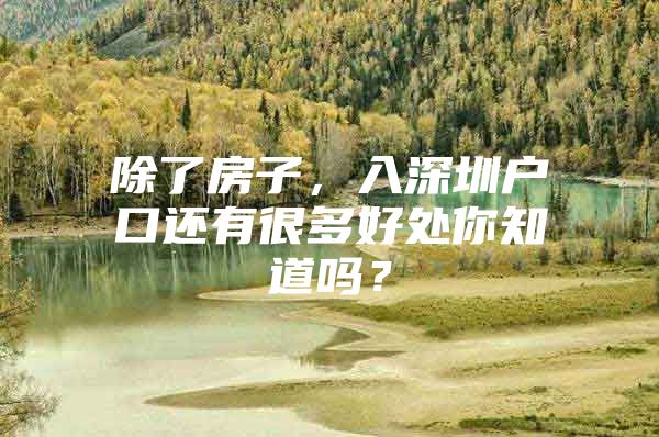 除了房子，入深圳户口还有很多好处你知道吗？