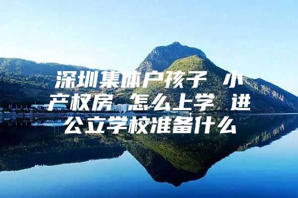 深圳集体户孩子 小产权房 怎么上学 进公立学校准备什么