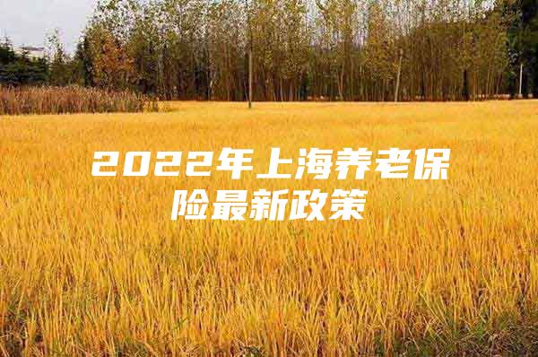 2022年上海养老保险最新政策