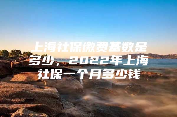 上海社保缴费基数是多少，2022年上海社保一个月多少钱