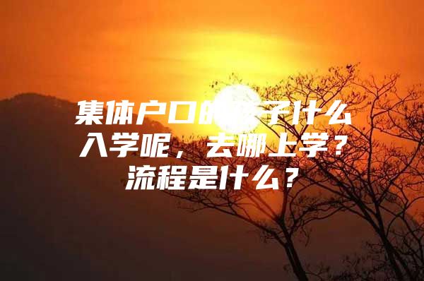 集体户口的孩子什么入学呢，去哪上学？流程是什么？