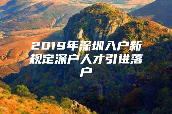 2019年深圳入户新规定深户人才引进落户