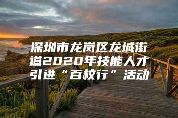 深圳市龙岗区龙城街道2020年技能人才引进“百校行”活动