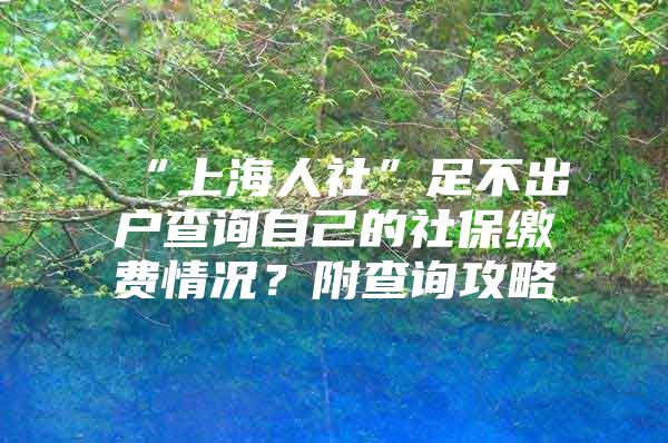 “上海人社”足不出户查询自己的社保缴费情况？附查询攻略