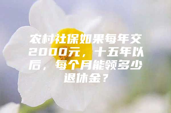 农村社保如果每年交2000元，十五年以后，每个月能领多少退休金？