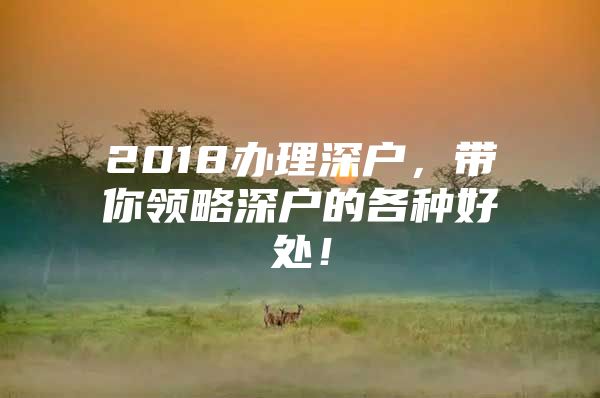 2018办理深户，带你领略深户的各种好处！