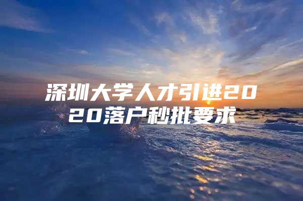 深圳大学人才引进2020落户秒批要求