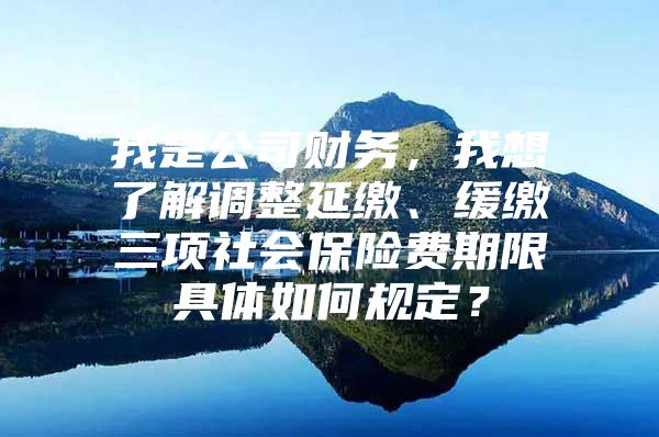 我是公司财务，我想了解调整延缴、缓缴三项社会保险费期限具体如何规定？