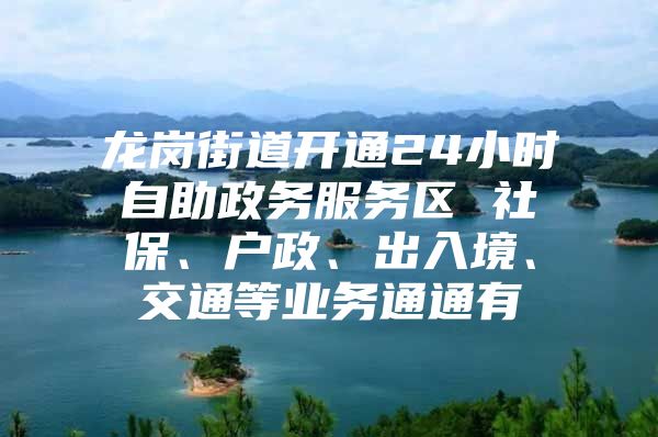 龙岗街道开通24小时自助政务服务区 社保、户政、出入境、交通等业务通通有