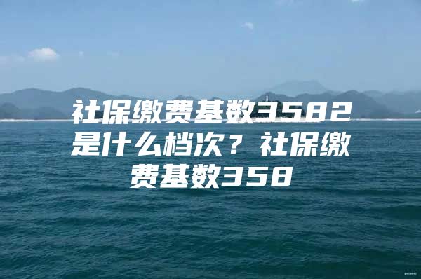 社保缴费基数3582是什么档次？社保缴费基数358