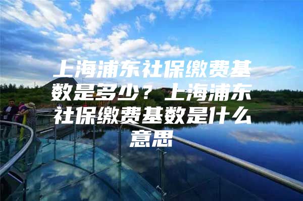 上海浦东社保缴费基数是多少？上海浦东社保缴费基数是什么意思