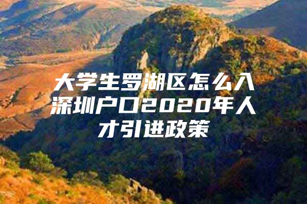 大学生罗湖区怎么入深圳户口2020年人才引进政策