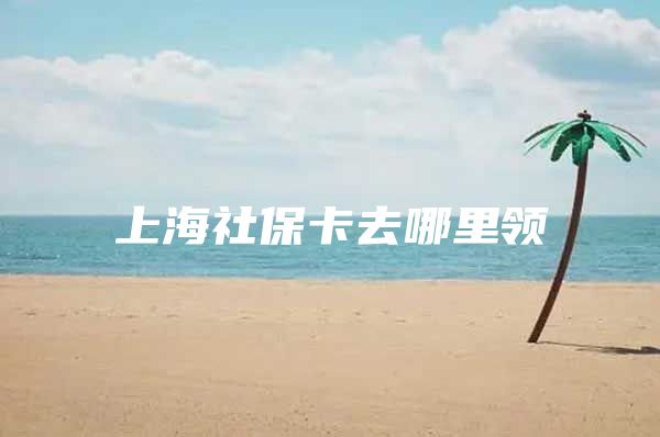 上海社保卡去哪里领