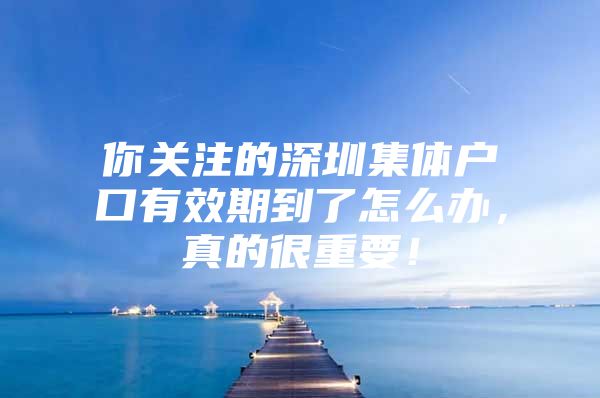 你关注的深圳集体户口有效期到了怎么办，真的很重要！