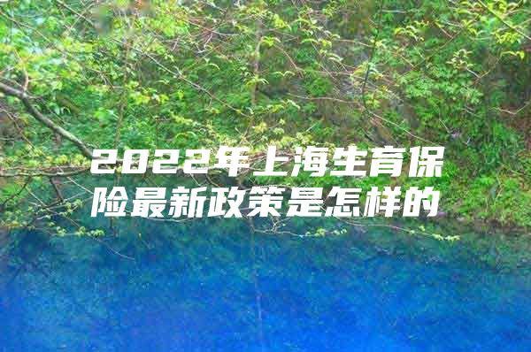 2022年上海生育保险最新政策是怎样的