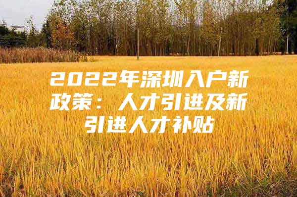 2022年深圳入户新政策：人才引进及新引进人才补贴