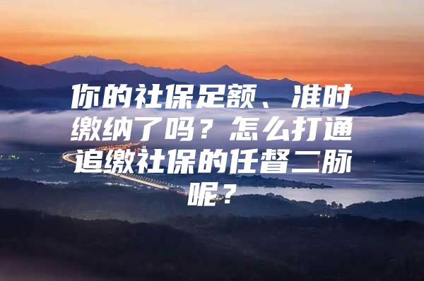 你的社保足额、准时缴纳了吗？怎么打通追缴社保的任督二脉呢？