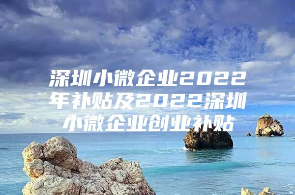 深圳小微企业2022年补贴及2022深圳小微企业创业补贴