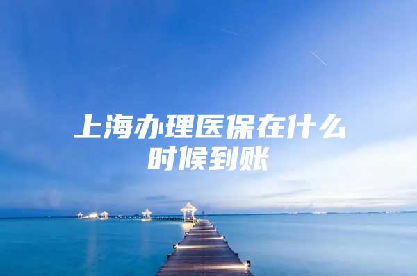 上海办理医保在什么时候到账