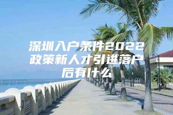 深圳入户条件2022政策新人才引进落户后有什么