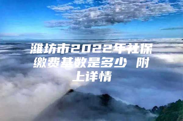 潍坊市2022年社保缴费基数是多少 附上详情