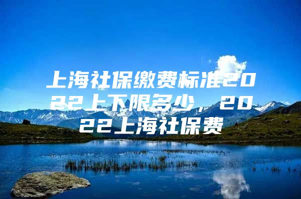 上海社保缴费标准2022上下限多少，2022上海社保费