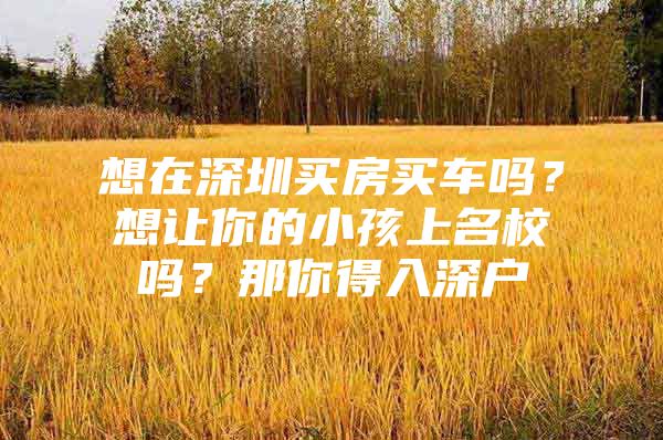 想在深圳买房买车吗？想让你的小孩上名校吗？那你得入深户