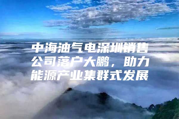 中海油气电深圳销售公司落户大鹏，助力能源产业集群式发展