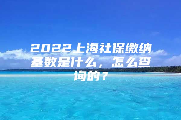 2022上海社保缴纳基数是什么，怎么查询的？