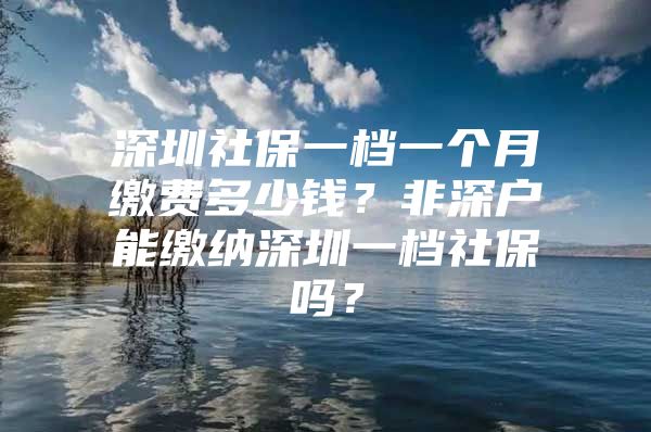 深圳社保一档一个月缴费多少钱？非深户能缴纳深圳一档社保吗？