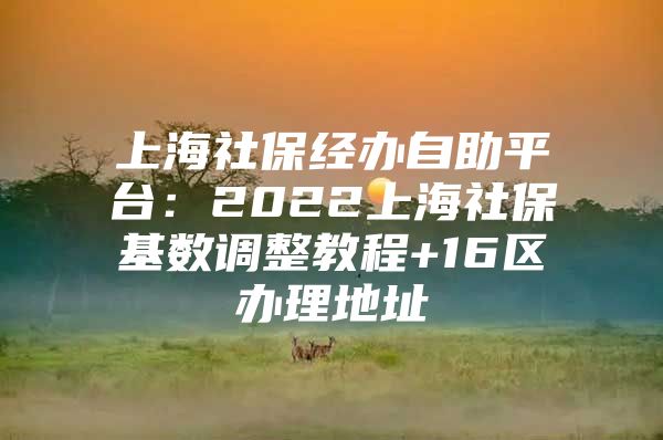 上海社保经办自助平台：2022上海社保基数调整教程+16区办理地址