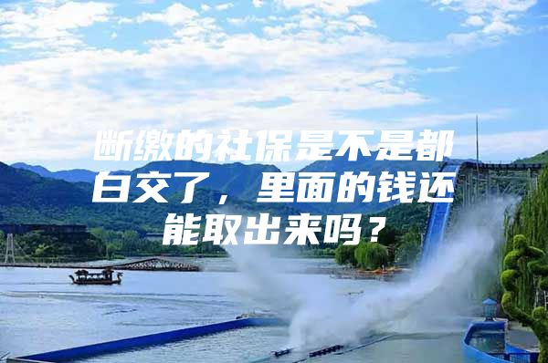 断缴的社保是不是都白交了，里面的钱还能取出来吗？