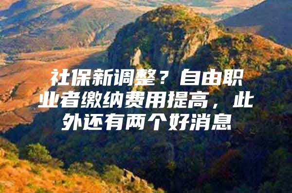 社保新调整？自由职业者缴纳费用提高，此外还有两个好消息