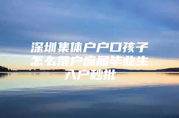 深圳集体户户口孩子怎么落户应届毕业生入户秒批