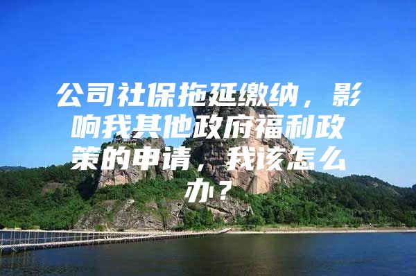 公司社保拖延缴纳，影响我其他政府福利政策的申请，我该怎么办？