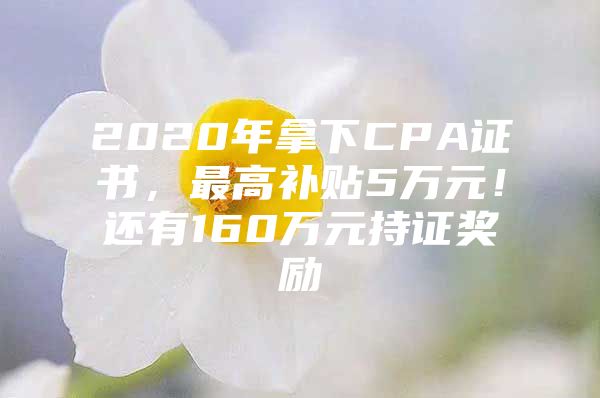 2020年拿下CPA证书，最高补贴5万元！还有160万元持证奖励