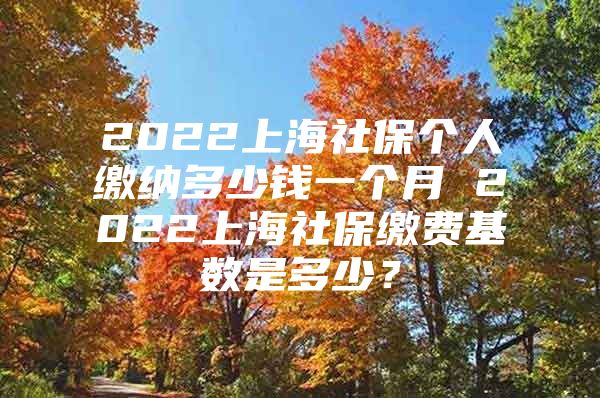 2022上海社保个人缴纳多少钱一个月 2022上海社保缴费基数是多少？