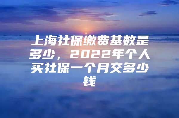 上海社保缴费基数是多少，2022年个人买社保一个月交多少钱