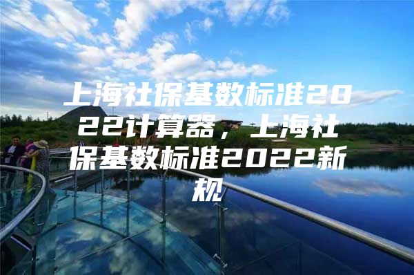 上海社保基数标准2022计算器，上海社保基数标准2022新规