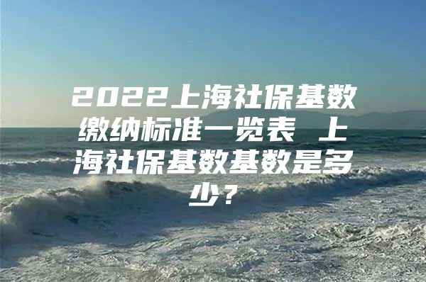 2022上海社保基数缴纳标准一览表 上海社保基数基数是多少？