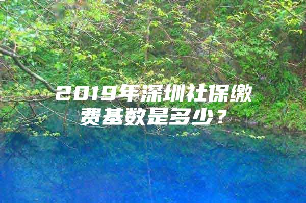 2019年深圳社保缴费基数是多少？