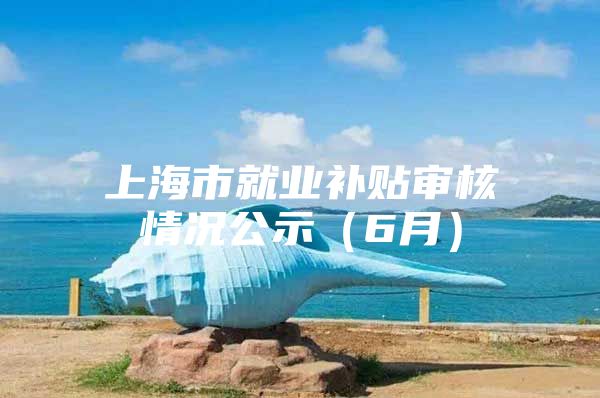 上海市就业补贴审核情况公示（6月）