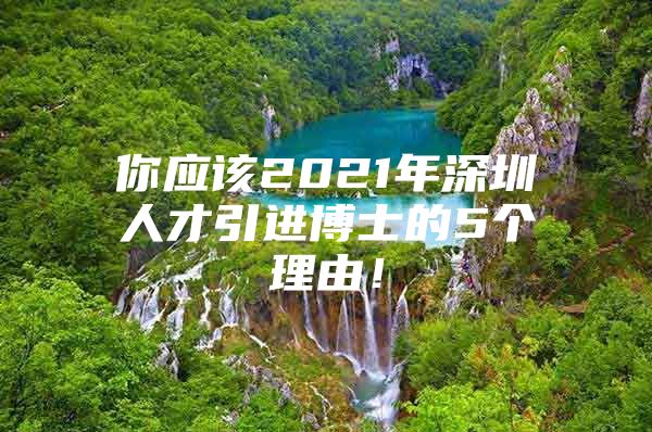 你应该2021年深圳人才引进博士的5个理由！