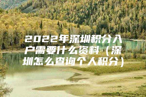 2022年深圳积分入户需要什么资料（深圳怎么查询个人积分）