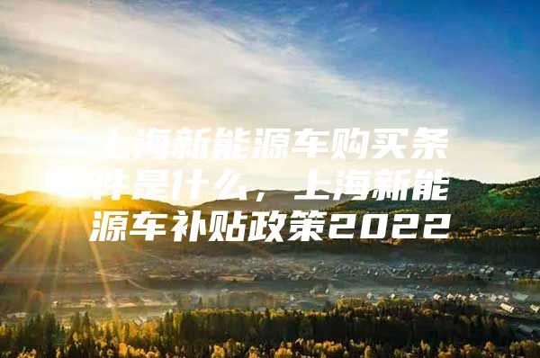 上海新能源车购买条件是什么，上海新能源车补贴政策2022