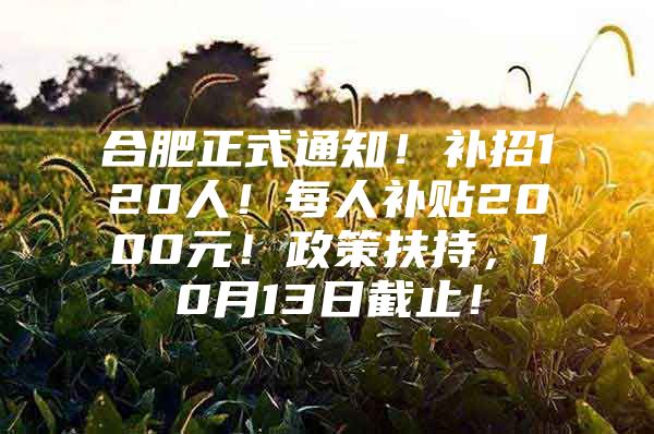 合肥正式通知！补招120人！每人补贴2000元！政策扶持，10月13日截止！